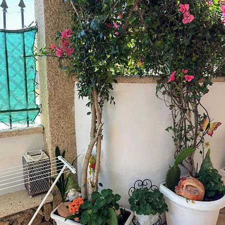 Le Petite Pensión